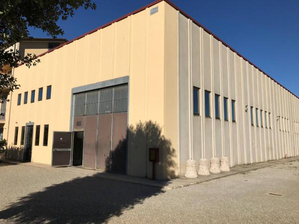 Capannone in Località Rigutino Ovest 125b, Arezzo - Foto 1