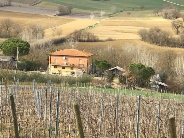 Podere - Tenuta in Località Cascina di Masino, Cortona - Foto 1