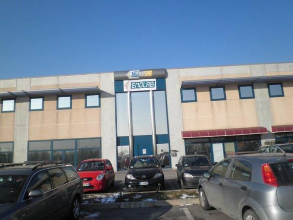 Laboratorio in Viale Spagna 2, Tribano - Foto 1