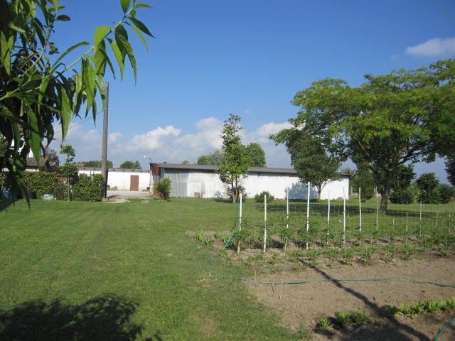 Capannone in Statale, Adria - Foto 1