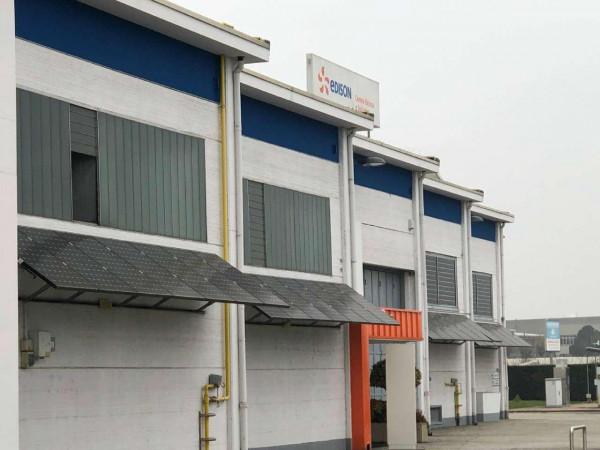 Capannone in Via La Pira 2, Trofarello - Foto 1