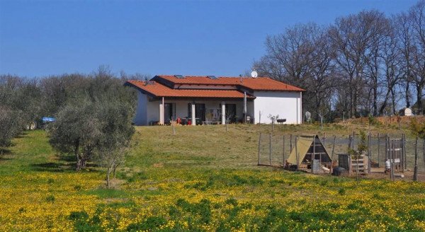 Azienda agricola in Via della Torre, Rosignano Marittimo - Foto 1