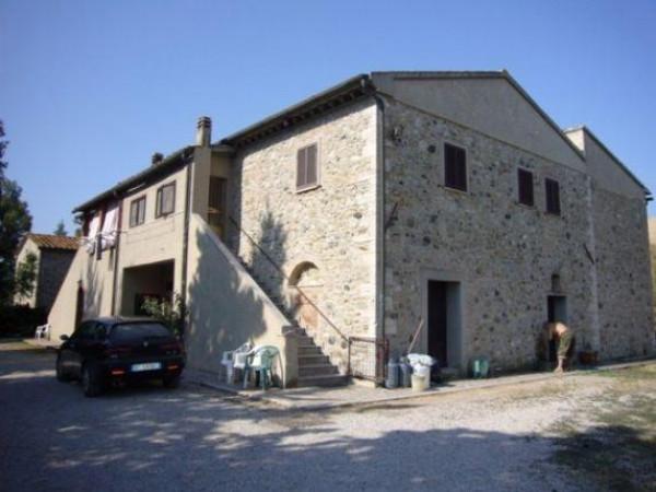 Azienda agricola in , Volterra - Foto 1