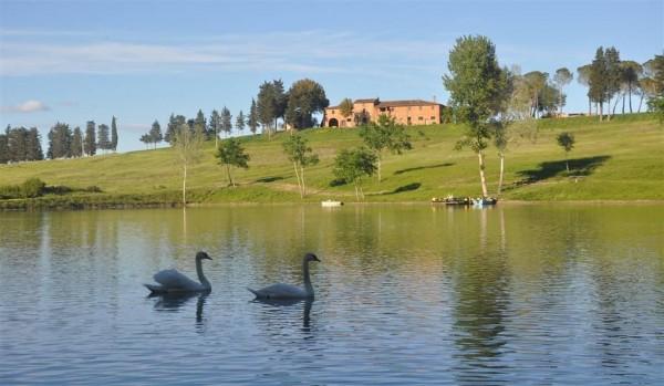 Azienda agricola in , Peccioli - Foto 1
