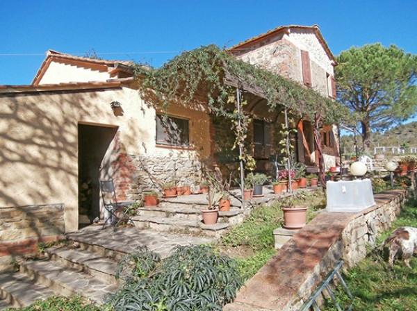 Azienda agricola in , Bucine - Foto 1