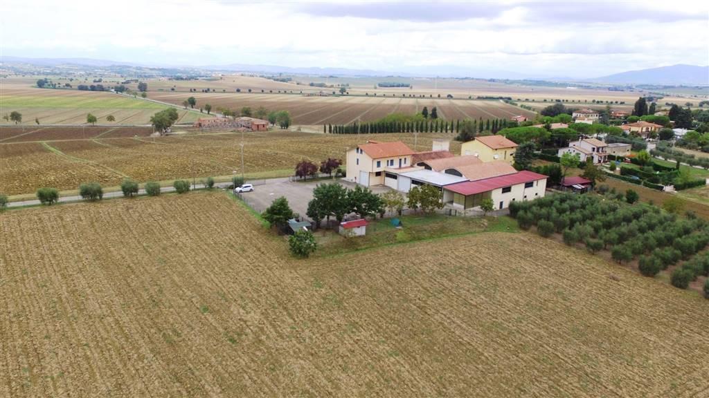 Capannone in C.a. Creti 32, Cortona - Foto 1