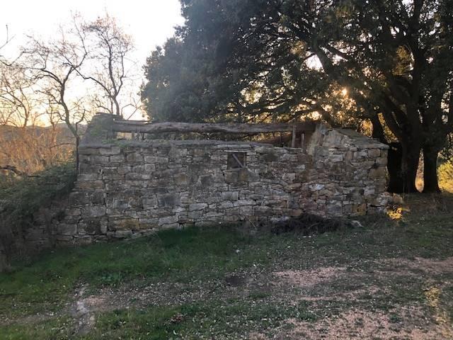 Agriturismo in , Monteverdi Marittimo - Foto 1
