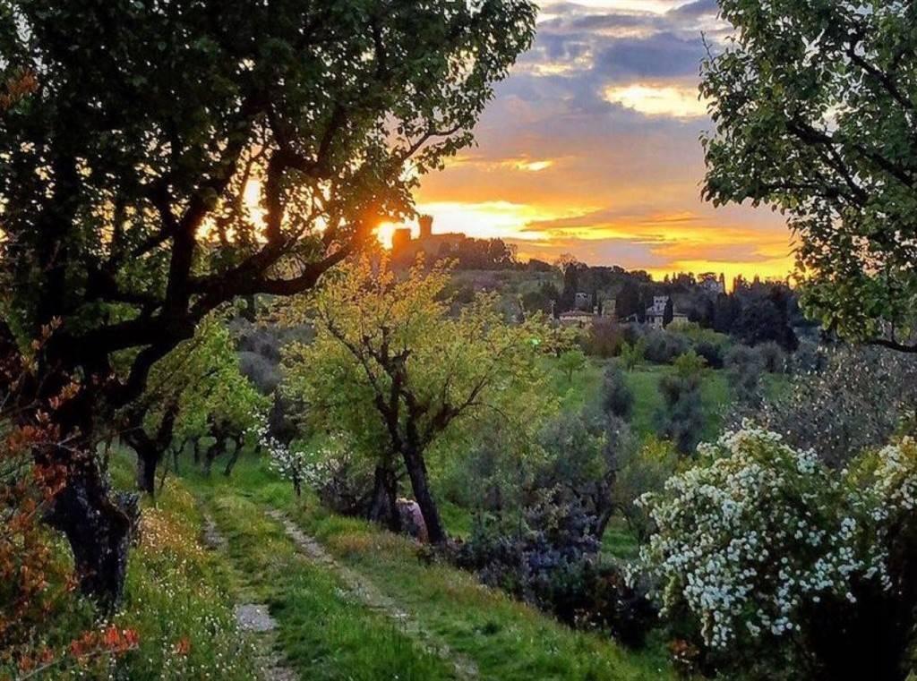 Agriturismo in , Figline e Incisa Valdarno - Foto 1