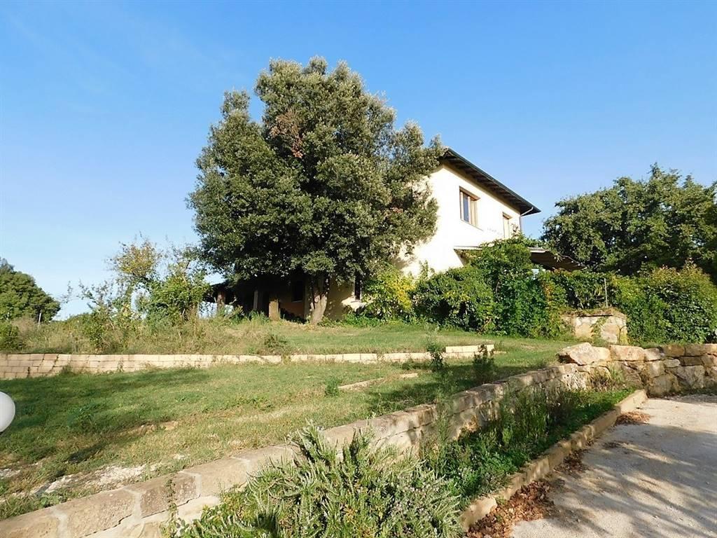 Agriturismo in , Follonica - Foto 1