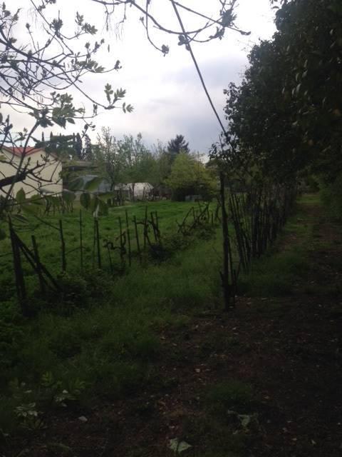 Agriturismo in , Campi Bisenzio - Foto 1
