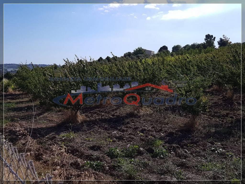 Azienda agricola in , Canicattì - Foto 1