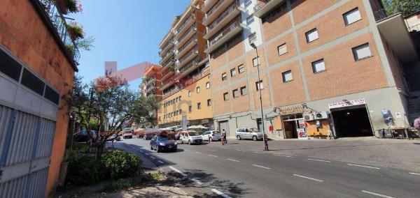 Negozio in Viale Ungheria, Zagarolo - Foto 1