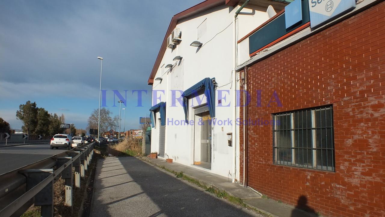 Capannone in Via Aurelia, Collesalvetti - Foto 1
