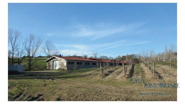 Agriturismo in Via delle Ville, Terranuova Bracciolini - Foto 1