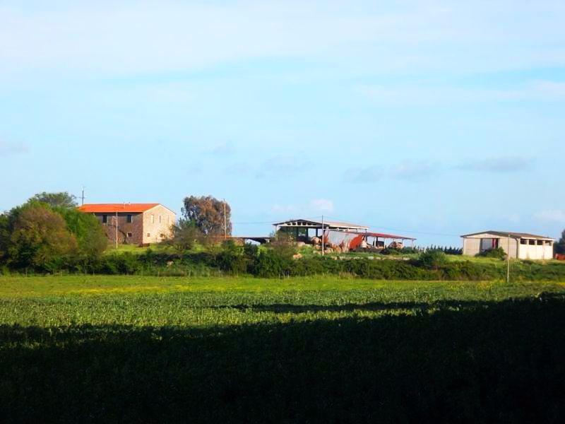 Azienda agricola in Strada Provinciale Gavorranese, Gavorrano - Foto 1