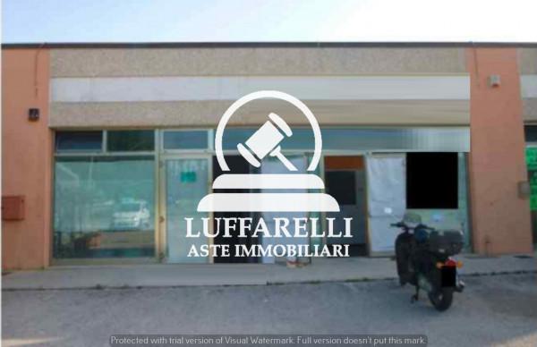 Negozio in Strada Statale Adriatica, Falconara Marittima - Foto 1