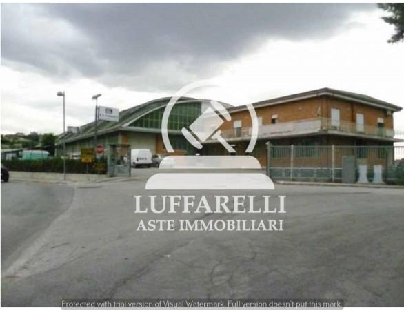 Laboratorio in Strada Provinciale Veregrense, Montegranaro - Foto 1
