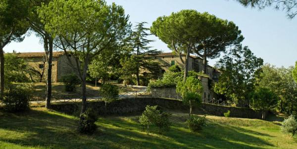 Azienda agricola in Via Roccastrada, Grosseto - Foto 1